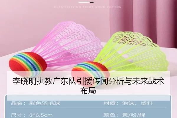 李晓明执教广东队引援传闻分析与未来战术布局