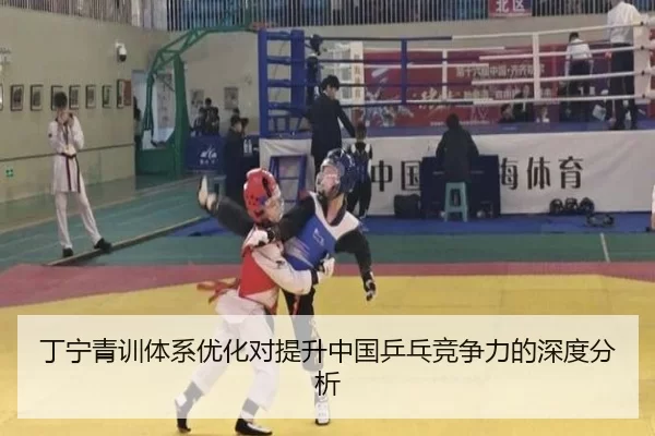 丁宁青训体系优化对提升中国乒乓竞争力的深度分析